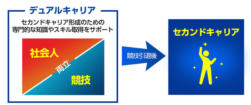 デュアルキャリア